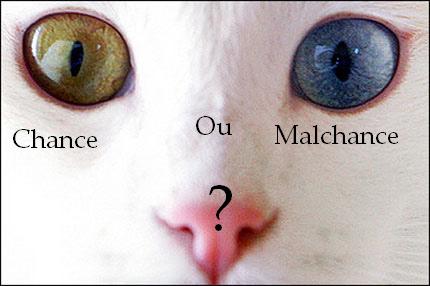 Chance ou malchance ?